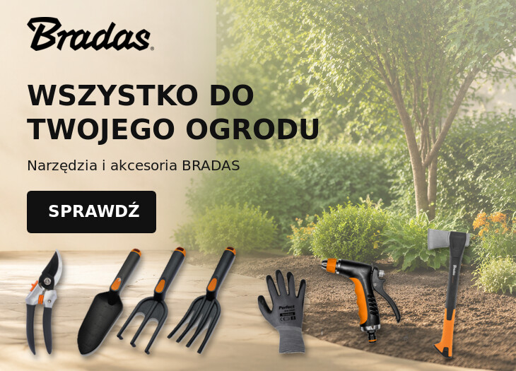 Bradas